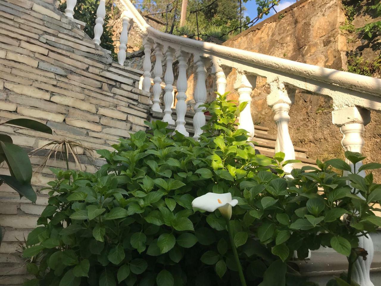 Guest House Himaj Berat Extérieur photo